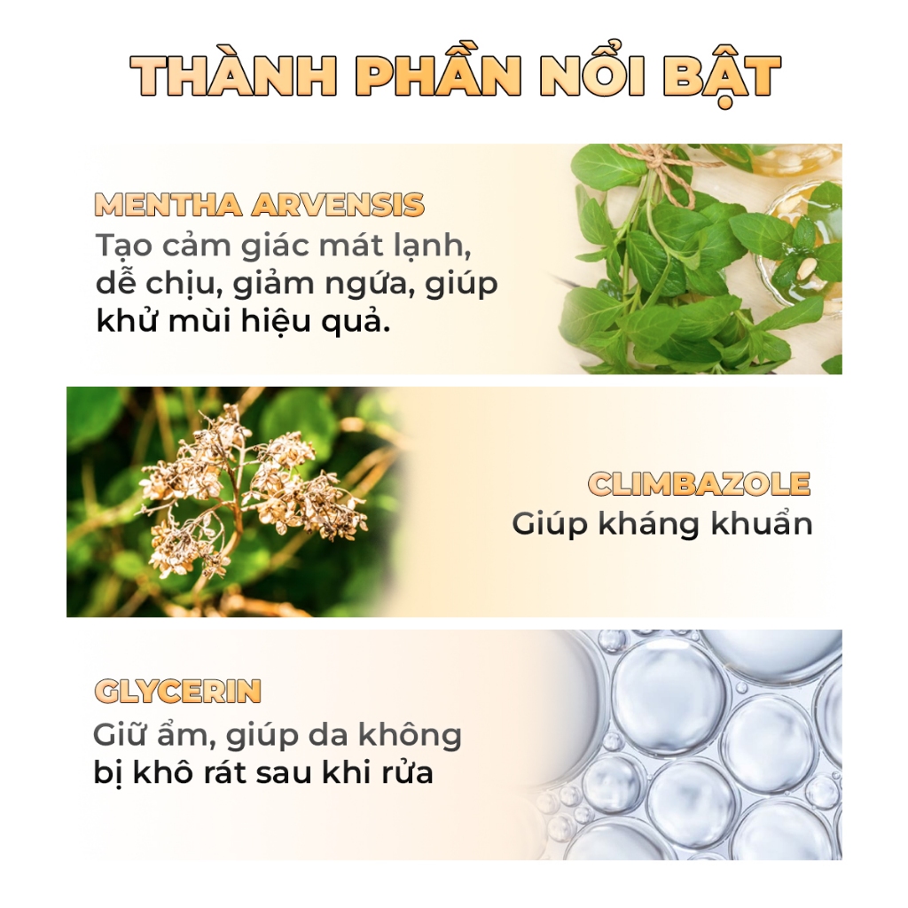 Dung dịch vệ sinh nam giới hương bạc hà SOLUL 210g - Khử mùi, Mát lạnh, Dưỡng ẩm