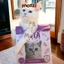 Cát vệ sinh đậu nành KitCat Soya cho mèo