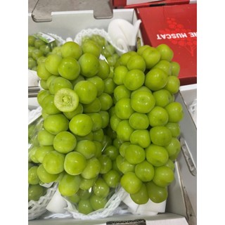 < HOẢ TỐC > Thùng nho xanh sữa ngọt phiên bản quà tặng