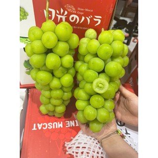 < HOẢ TỐC > Thùng nho xanh sữa ngọt phiên bản quà tặng