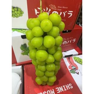 < HOẢ TỐC > Thùng nho xanh sữa ngọt phiên bản quà tặng
