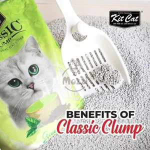 Cát vệ sinh cho mèo KitCat xi măng vón