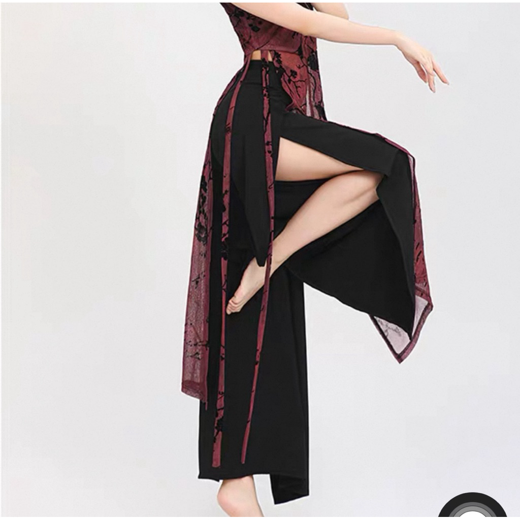 Sườn xám Trung Hoa thanh lịch/Váy múa đương đại/Váy múa cổ trang