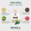 Viên Uống Giảm Cân MONICA Thảo Mộc Giảm Cân Nhanh Cấp Tốc Nhập Khẩu Mỹ Hộp 30 Viên