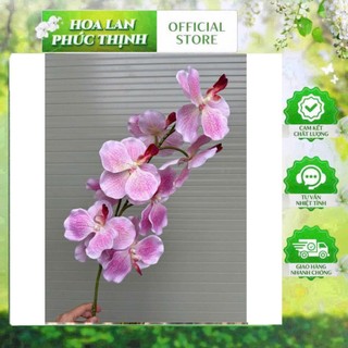 combo 10 cành 🌸 LAN VANDA XOĂN – HOA VẢI LỤA CAO CẤP