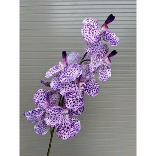 combo 10 cành 🌸 LAN VANDA XOĂN – HOA VẢI LỤA CAO CẤP