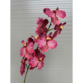 combo 10 cành 🌸 LAN VANDA XOĂN – HOA VẢI LỤA CAO CẤP