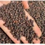 Gói 250g hạt tiêu đen Phú Quốc. Tiêu đen to nguyên hạt, làm gia vị đậm đà cho món kho, xào, nấu