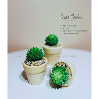 Chậu Sen Đá Mini Trang Trí Bàn Làm Việc – Chậu Đất Nung Trắng Phủ Sỏi – Green Garden Decor