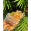 Bánh tráng PHƠI SƯƠNG SA TẾ MUỐI NHUYỄN - Dùng chay được - Bánh tráng Mạnh Hùng