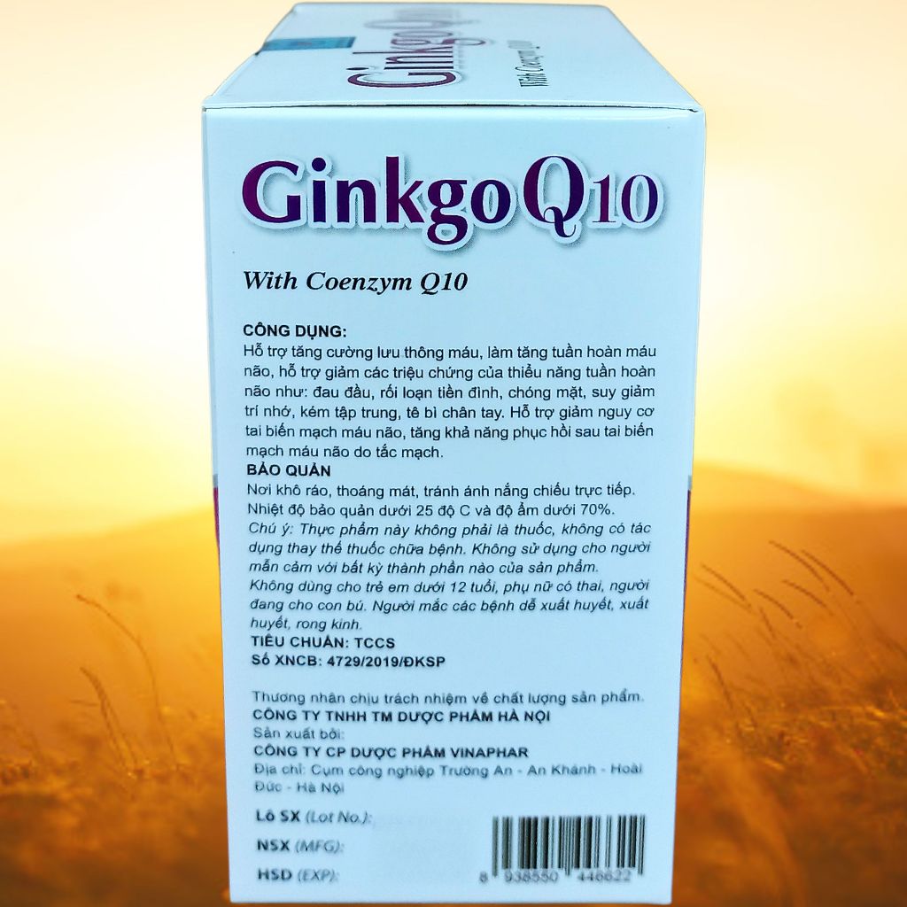 Ginkgo Q10 Tím - Hà Nội - Vinaphar - Vitamin Thanh Lọc