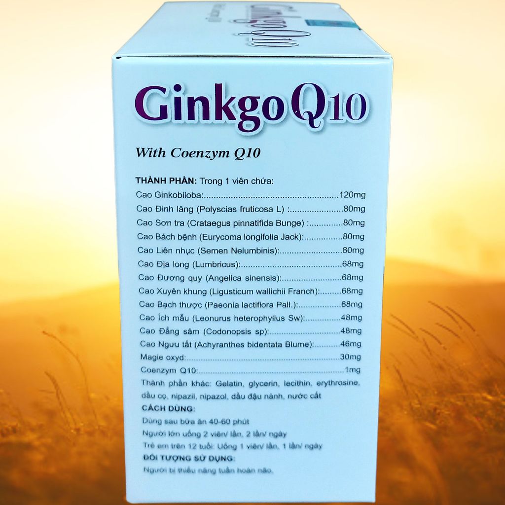 Ginkgo Q10 Tím - Hà Nội - Vinaphar - Vitamin Thanh Lọc