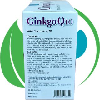 Ginkgo Q10 Tím - Hà Nội - Vinaphar - Vitamin Phục Hồi