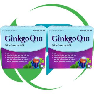 Combo 2 Hộp Ginkgo Q10 Tím - Hà Nội - Vinaphar - Vitamin Phục Hồi
