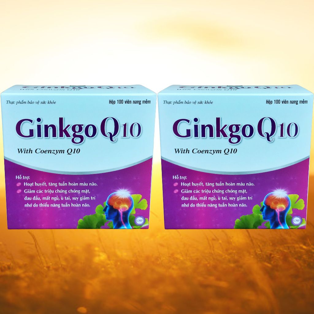 Combo 2 Hộp Ginkgo Q10 Tím - Hà Nội - Vinaphar - Vitamin Thanh Lọc
