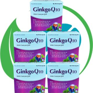 Combo 5 Hộp Ginkgo Q10 Tím - Hà Nội - Vinaphar - Vitamin Phục Hồi
