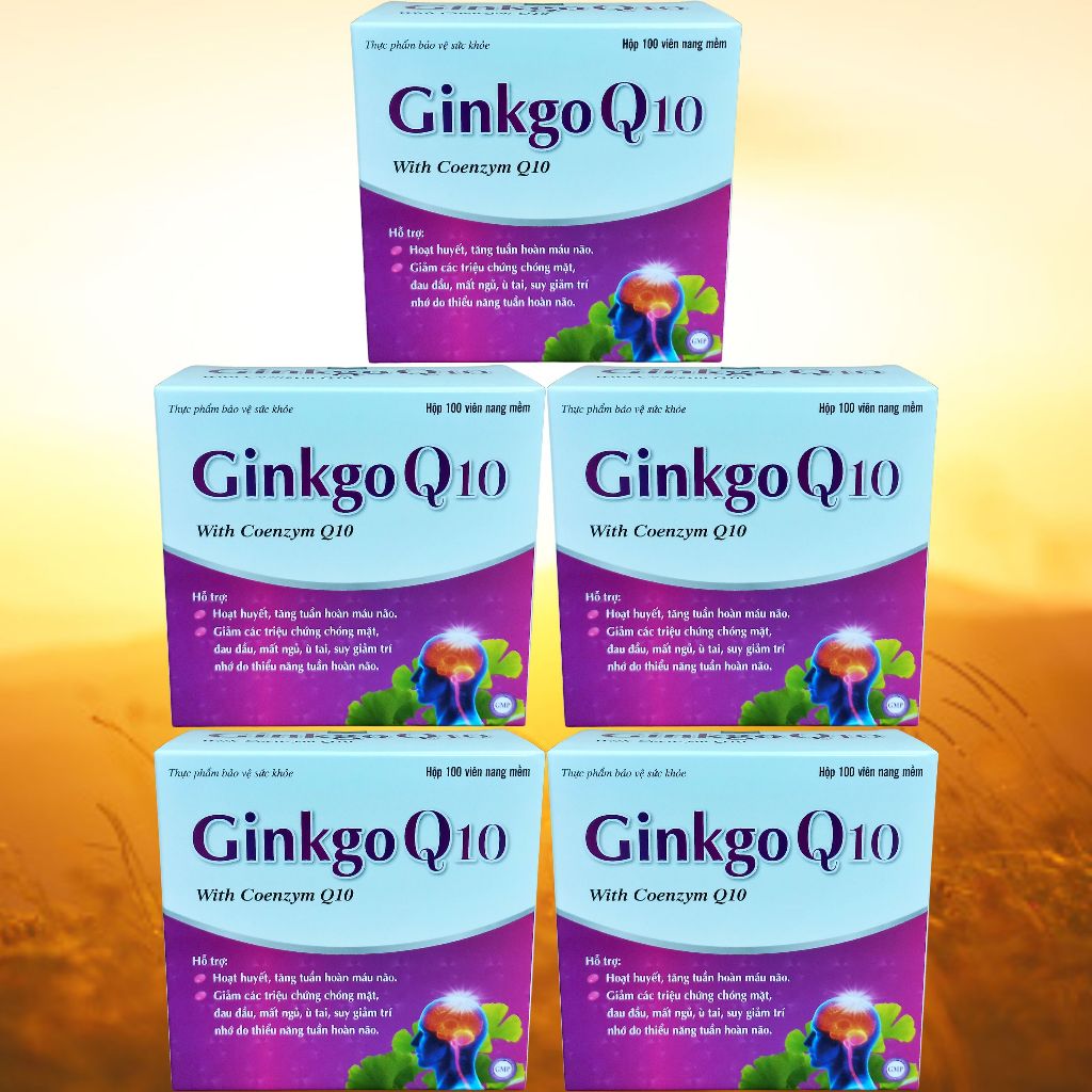 Combo 5 Hộp Ginkgo Q10 Tím - Hà Nội - Vinaphar - Vitamin Thanh Lọc