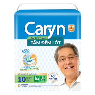 Tấm đệm lót Caryn 10 Miếng - LÊ MINH HƯƠNG SHOP