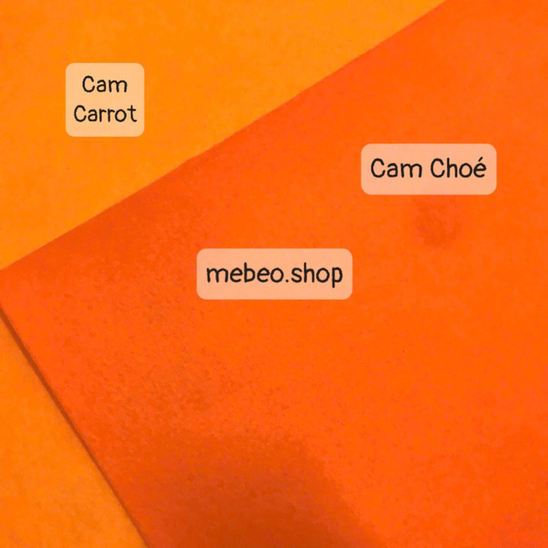 Cam carrot