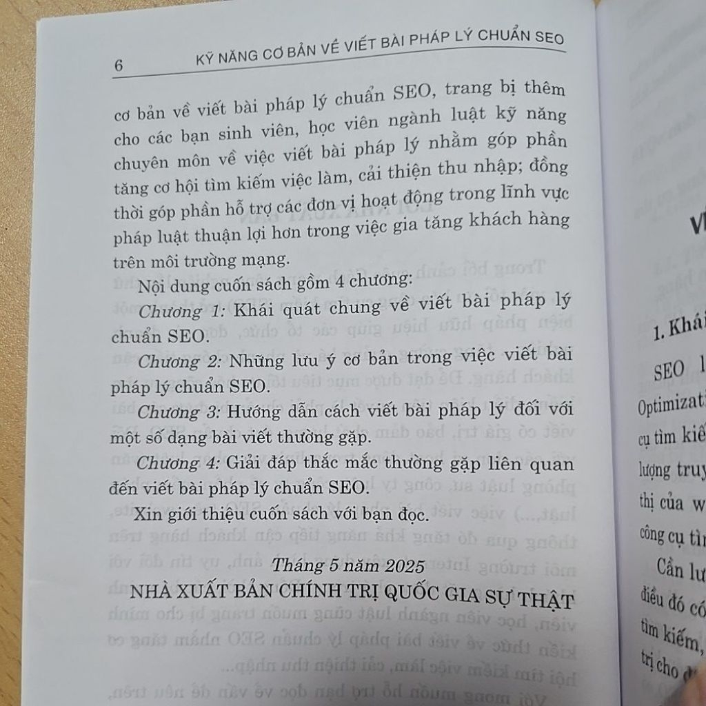 Sách - Kỹ năng cơ bản về viết bài pháp lý chuẩn SEO