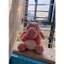 🧸Gấu bông lông xù bé Rồng hồng