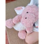 🧸Gấu bông lông xù bé Rồng hồng
