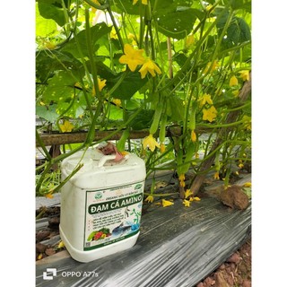 ĐẠM CÁ HỮU CƠ AMINO -  BỔ SUNG HUMIC, FULVIC, RONG BIỂN GIÚP XANH CÂY, NĂNG SUẤT TỐI ĐA, PHÂN BÓN