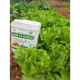 ĐẠM CÁ HỮU CƠ AMINO -  BỔ SUNG HUMIC, FULVIC, RONG BIỂN GIÚP XANH CÂY, NĂNG SUẤT TỐI ĐA, PHÂN BÓN