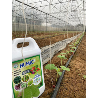 HUMIC - VỌT ĐỌT, XANH LÁ, M.ẬP CÂY