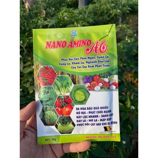 NANO AMINO A6 - B.ung chồi, v.ọt đọt, th.úc bật mầm hoa, xanh lá, dày lá