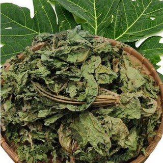 Lá Đu Đủ Đực Sấy Khô Lá Ngọc Hỗ Trợ Tăng Cường Sức Đề Kháng