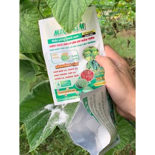 MAGIE KẼM - B.IẾN V.ÀNG THÀNH XANH