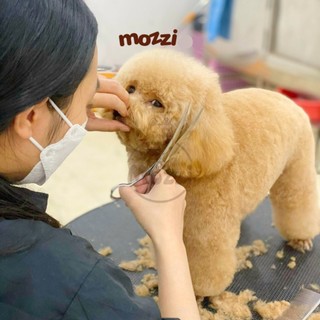 Kéo Cắt Tỉa Lông Cao Cấp Hipi Cho Chó Mèo