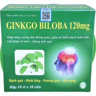 Combo 5 Hộp Ginkgo Biloba 120 mg Xanh Lá 100 Viên - Vinaphar - Vinaphar - Vitamin Phục Hồi