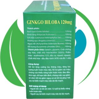 Combo 5 Hộp Ginkgo Biloba 120 mg Xanh Lá 100 Viên - Vinaphar - Vinaphar - Vitamin Phục Hồi