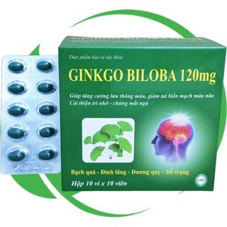 Combo 5 Hộp Ginkgo Biloba 120 mg Xanh Lá 100 Viên - Vinaphar - Vinaphar - Vitamin Phục Hồi