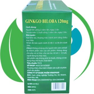 Combo 5 Hộp Ginkgo Biloba 120 mg Xanh Lá 100 Viên - Vinaphar - Vinaphar - Vitamin Phục Hồi