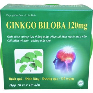 Ginkgo Biloba 120 mg Xanh Lá 100 Viên - Vinaphar - Vinaphar - Vitamin Phục Hồi