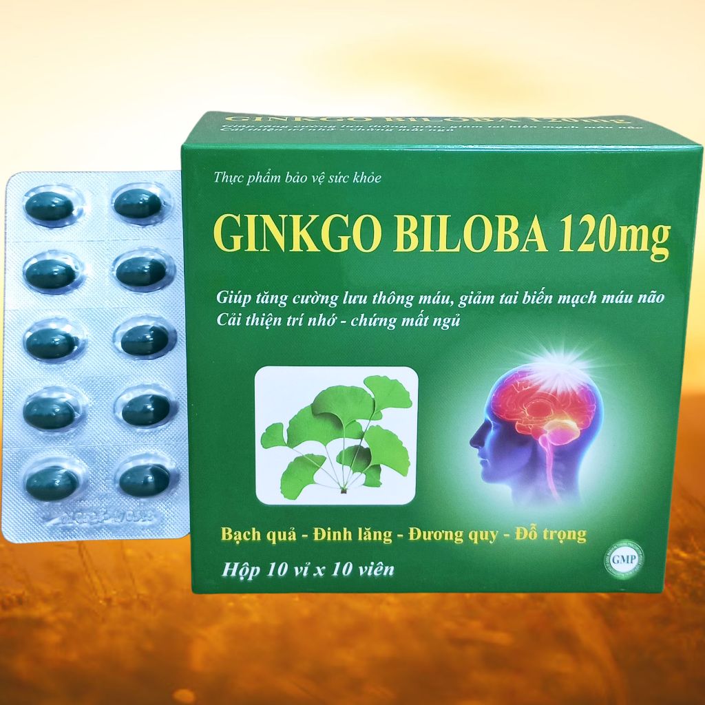 Combo 3 Hộp Ginkgo Biloba 120 mg Xanh Lá 100 Viên - Vinaphar - Vinaphar - Vitamin Thanh Lọc