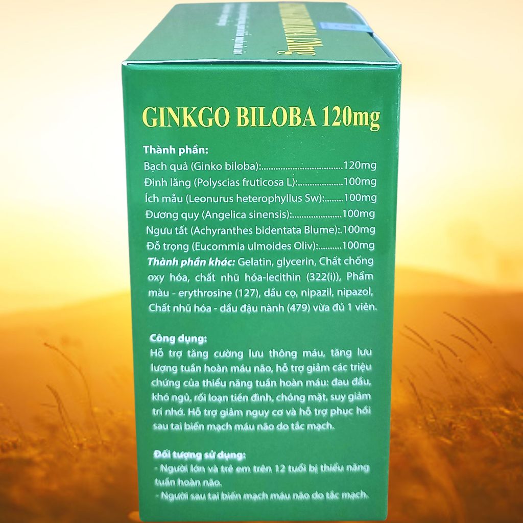 Combo 3 Hộp Ginkgo Biloba 120 mg Xanh Lá 100 Viên - Vinaphar - Vinaphar - Vitamin Thanh Lọc