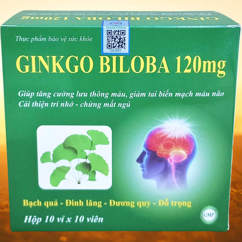 Combo 3 Hộp Ginkgo Biloba 120 mg Xanh Lá 100 Viên - Vinaphar - Vinaphar - Vitamin Thanh Lọc