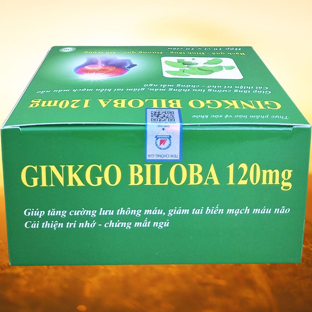 Combo 3 Hộp Ginkgo Biloba 120 mg Xanh Lá 100 Viên - Vinaphar - Vinaphar - Vitamin Thanh Lọc