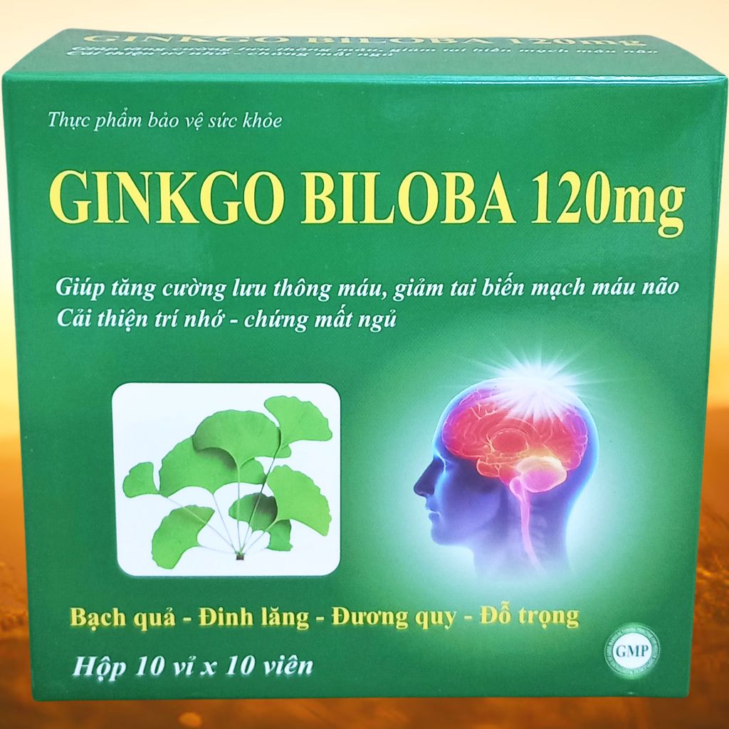 Ginkgo Biloba 120 mg Xanh Lá 100 Viên - Vinaphar - Vinaphar - Vitamin Thanh Lọc