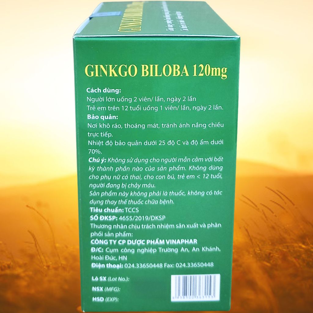 Combo 3 Hộp Ginkgo Biloba 120 mg Xanh Lá 100 Viên - Vinaphar - Vinaphar - Vitamin Thanh Lọc
