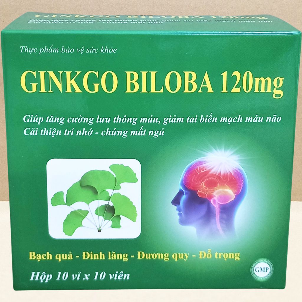 Ginkgo Biloba 120 mg Xanh Lá 100 Viên - Vinaphar - Vinaphar - Vitamin Chữa Lành