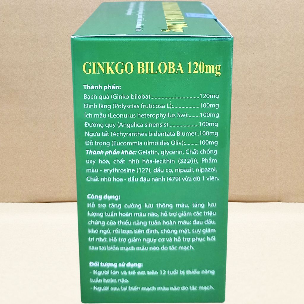 Combo 5 Hộp Ginkgo Biloba 120 mg Xanh Lá 100 Viên - Vinaphar - Vinaphar - Vitamin Chữa Lành