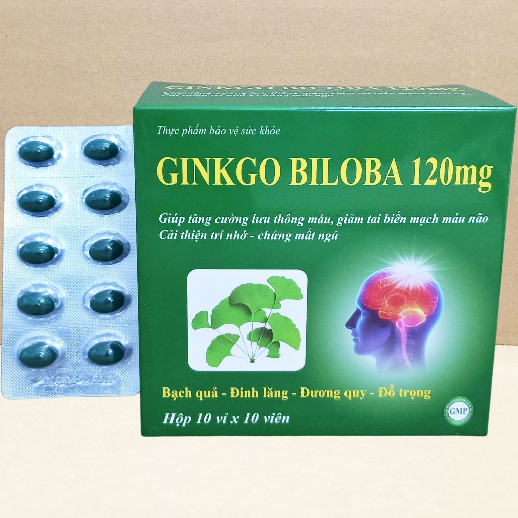 Combo 5 Hộp Ginkgo Biloba 120 mg Xanh Lá 100 Viên - Vinaphar - Vinaphar - Vitamin Chữa Lành