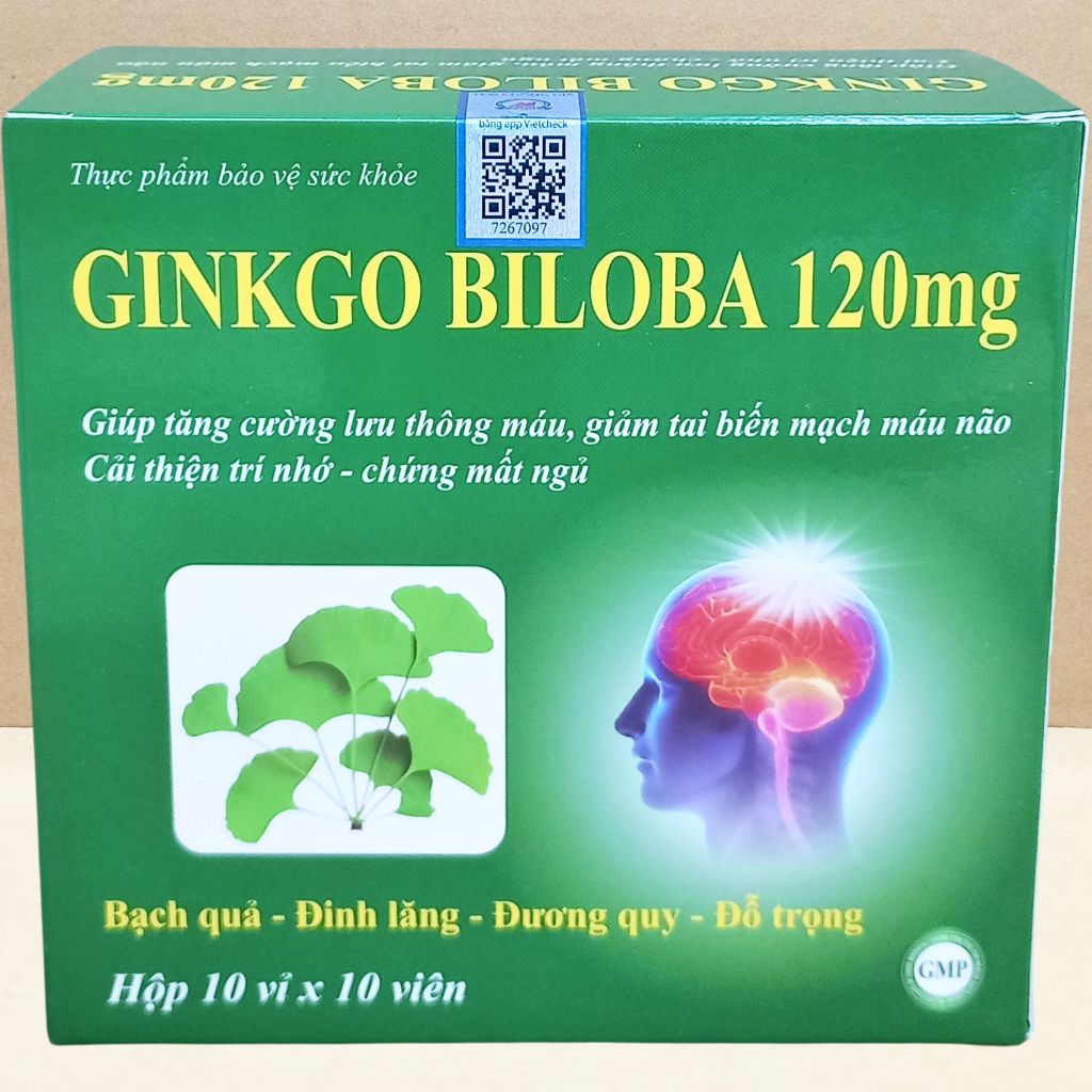 Combo 5 Hộp Ginkgo Biloba 120 mg Xanh Lá 100 Viên - Vinaphar - Vinaphar - Vitamin Chữa Lành