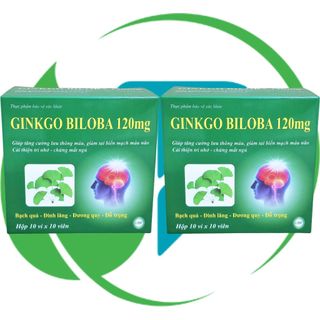 Combo 2 Hộp Ginkgo Biloba 120 mg Xanh Lá 100 Viên - Vinaphar - Vinaphar - Vitamin Phục Hồi