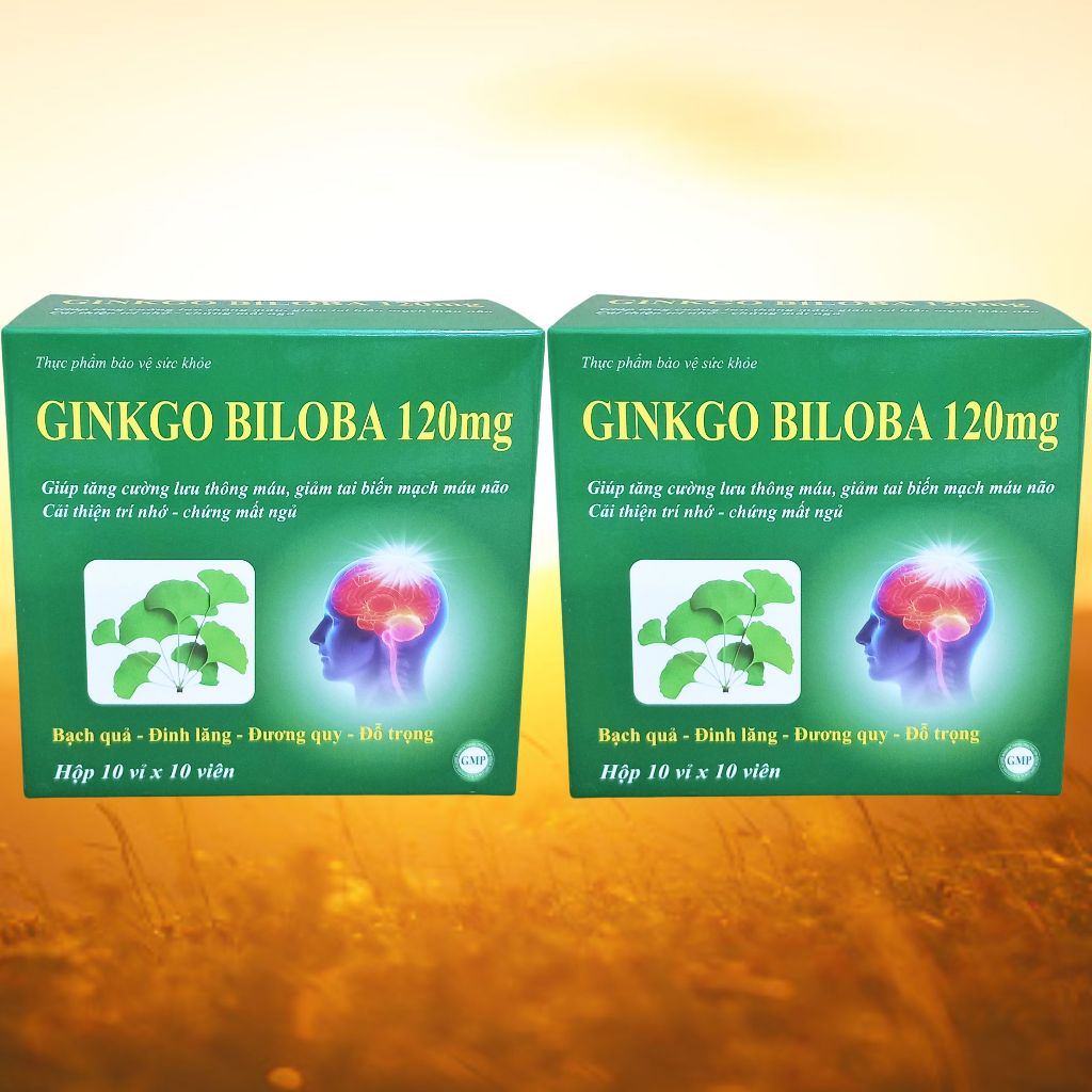 Combo 2 Hộp Ginkgo Biloba 120 mg Xanh Lá 100 Viên - Vinaphar - Vinaphar - Vitamin Thanh Lọc